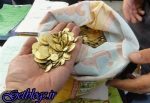 جوینده قلابی گنج دستگیر شد